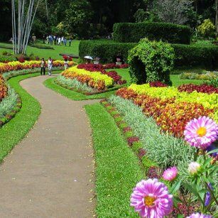 02 Day Experience in Sri Lanka - Go Lanka Tour
