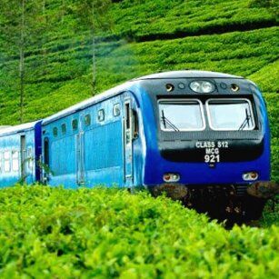 08 Day Experience in Sri Lanka - Go Lanka Tour