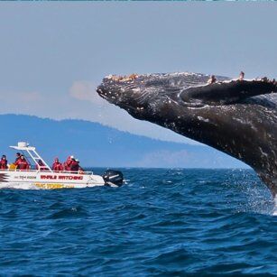 13 Day Experience in Sri Lanka - Go Lanka Tour