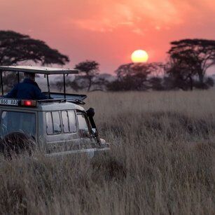 10 Day Experience in Sri Lanka - Go Lanka Tour