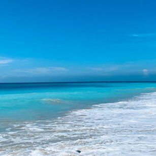 06 Day Experience in Sri Lanka - Go Lanka Tour