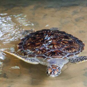 08 Day Experience in Sri Lanka - Go Lanka Tour