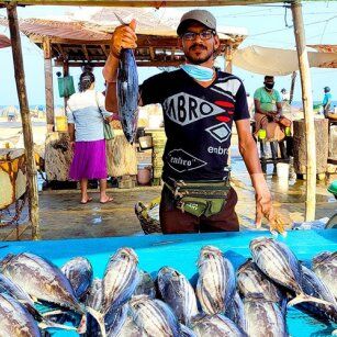 01 Day Experience in Sri Lanka - Go Lanka Tour