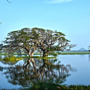 Southeastern Day Tour Experience in Sri Lanka - Go Lanka Tour