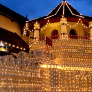 09 Day Experience in Sri Lanka - Go Lanka Tour