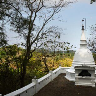 Southeastern Day Tour Experience in Sri Lanka - Go Lanka Tour