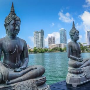 06 Day Experience in Sri Lanka - Go Lanka Tour