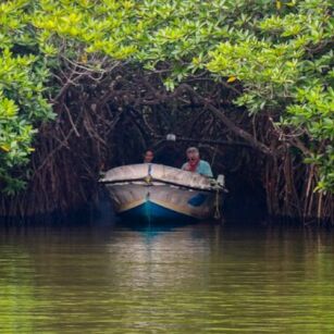 02 Day Experience in Sri Lanka - Go Lanka Tour
