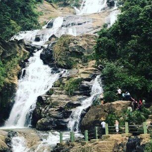05 Day Experience in Sri Lanka - Go Lanka Tour