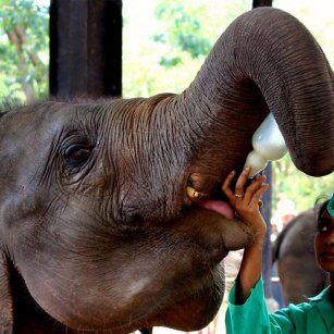 01 Day Experience in Sri Lanka - Go Lanka Tour