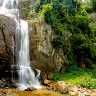 03 Day Experience in Sri Lanka - Go Lanka Tour