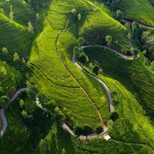03 Day Experience in Sri Lanka - Go Lanka Tour