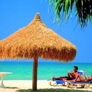 01 Day Experience in Sri Lanka - Go Lanka Tour